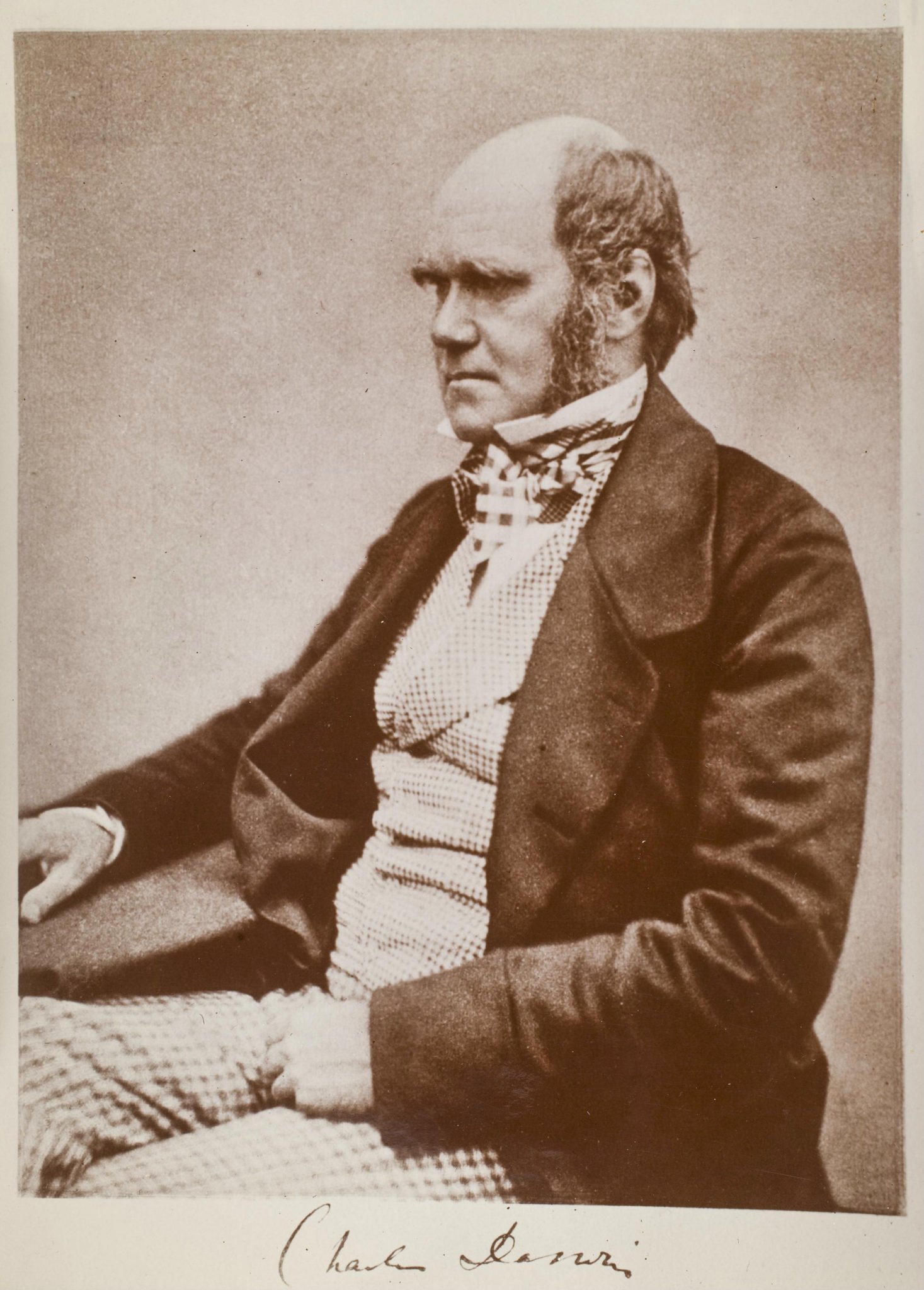 Origen de las especies de Darwin cumple 159 años Tour Historia